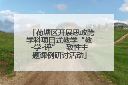 荷塘区开展思政跨学科项目式教学“教-学-评”一致性主题课例研讨活动