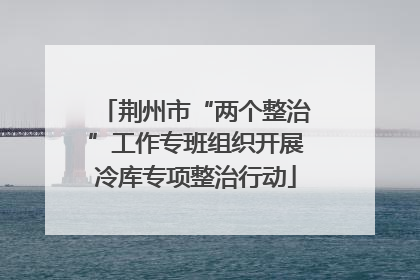 荆州市“两个整治”工作专班组织开展冷库专项整治行动