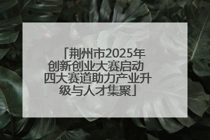 荆州市2025年创新创业大赛启动 四大赛道助力产业升级与人才集聚