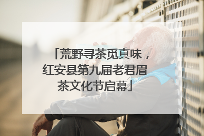 荒野寻茶觅真味，红安县第九届老君眉茶文化节启幕