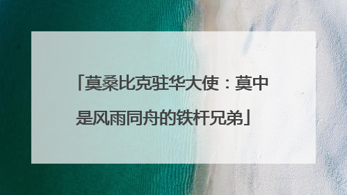 莫桑比克驻华大使：莫中是风雨同舟的铁杆兄弟