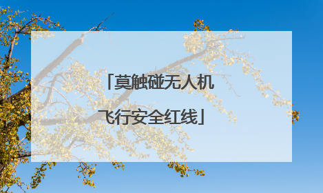 莫触碰无人机飞行安全红线