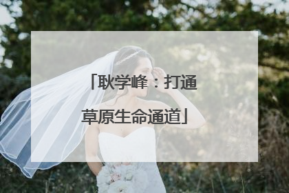 耿学峰：打通草原生命通道