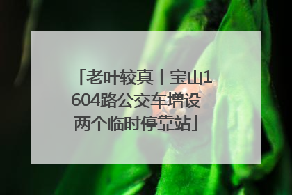 老叶较真丨宝山1604路公交车增设两个临时停靠站