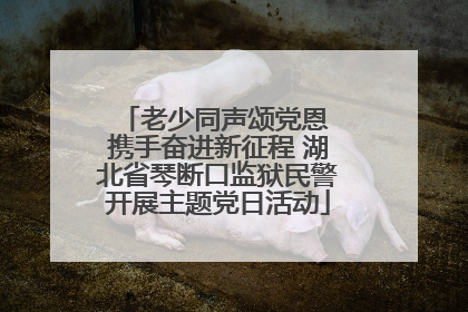 老少同声颂党恩 携手奋进新征程 湖北省琴断口监狱民警开展主题党日活动
