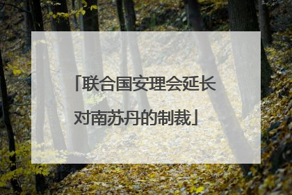 联合国安理会延长对南苏丹的制裁