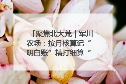 聚焦北大荒｜军川农场：按月核算记“明白账”精打细算“过紧日子”
