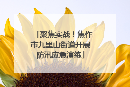 聚焦实战！焦作市九里山街道开展防汛应急演练