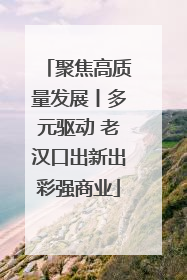 聚焦高质量发展丨多元驱动 老汉口出新出彩强商业