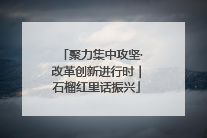 聚力集中攻坚·改革创新进行时｜石榴红里话振兴