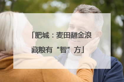 肥城：麦田翻金浪藏粮有“智”方