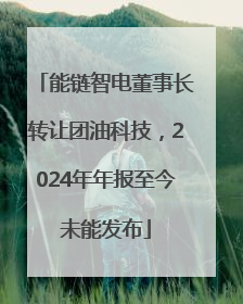 能链智电董事长转让团油科技，2024年年报至今未能发布