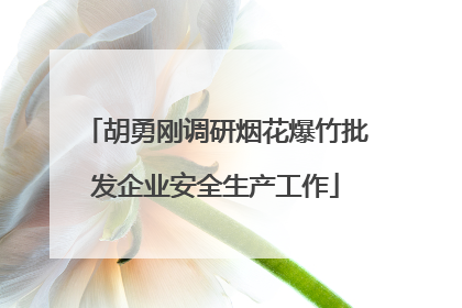 胡勇刚调研烟花爆竹批发企业安全生产工作
