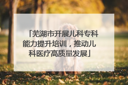 芜湖市开展儿科专科能力提升培训，推动儿科医疗高质量发展