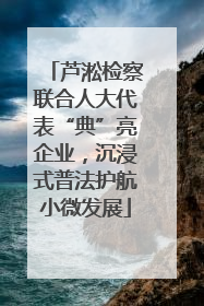 芦淞检察联合人大代表“典”亮企业，沉浸式普法护航小微发展