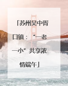 苏州吴中胥口镇：“一老一小”共享浓情端午