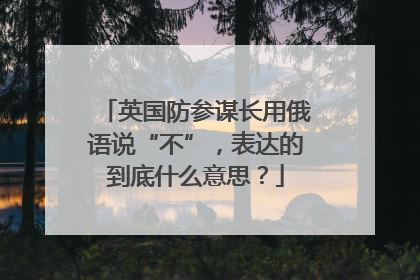 英国防参谋长用俄语说“不”，表达的到底什么意思？