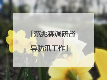 范兆森调研督导防汛工作