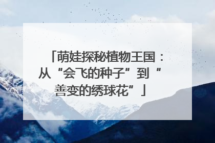 萌娃探秘植物王国：从“会飞的种子”到“善变的绣球花”