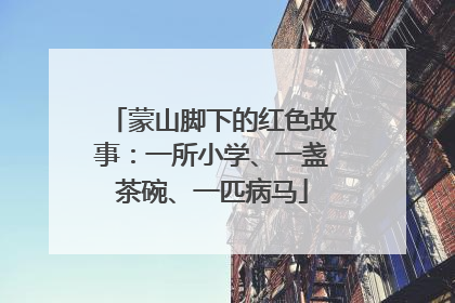 蒙山脚下的红色故事：一所小学、一盏茶碗、一匹病马