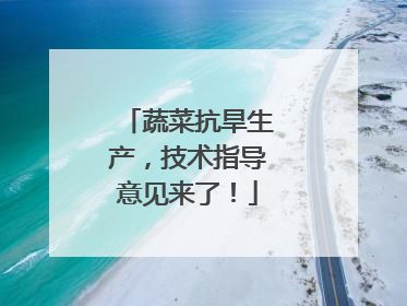 蔬菜抗旱生产，技术指导意见来了！