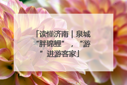 读懂济南｜泉城“胖锦鲤”，“游”进游客家