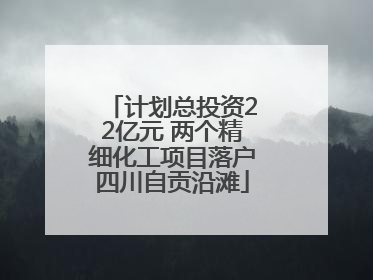 计划总投资22亿元 两个精细化工项目落户四川自贡沿滩