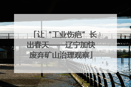 让“工业伤疤”长出春天——辽宁加快废弃矿山治理观察