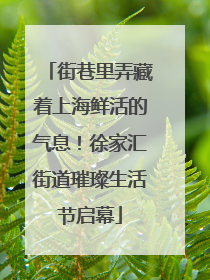 街巷里弄藏着上海鲜活的气息！徐家汇街道璀璨生活节启幕