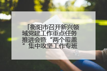 衡阳市召开新兴领域党建工作重点任务推进会暨“两个覆盖”集中攻坚工作专班 第一次会议
