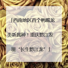 西南地区首个鸭嘴龙类新属种！重庆黔江发现“长生黔江龙”