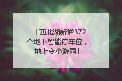 西北湖新增372个地下智能停车位，地上变小游园