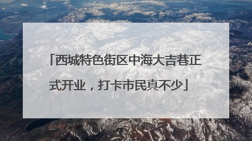 西城特色街区中海大吉巷正式开业，打卡市民真不少