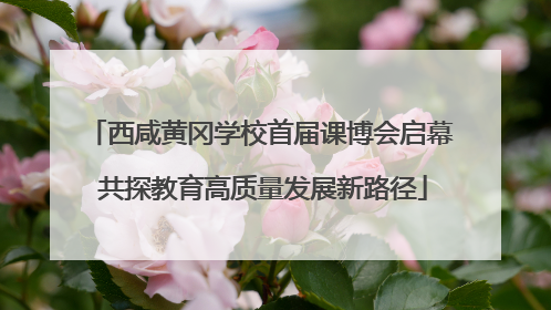 西咸黄冈学校首届课博会启幕 共探教育高质量发展新路径