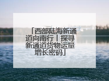 西部陆海新通道向南行丨探寻新通道货物运量增长密码