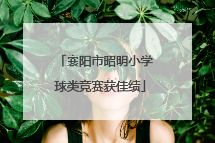 襄阳市昭明小学球类竞赛获佳绩