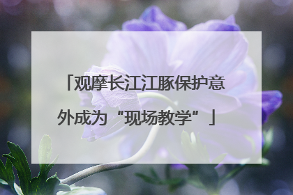 观摩长江江豚保护意外成为“现场教学”