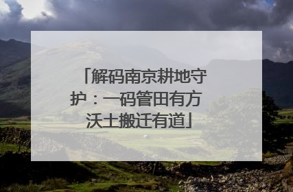 解码南京耕地守护：一码管田有方 沃土搬迁有道