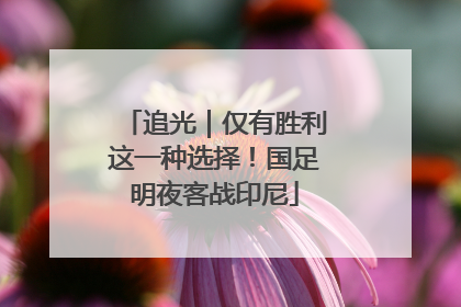 追光｜仅有胜利这一种选择！国足明夜客战印尼