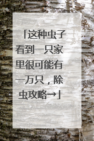 这种虫子看到一只家里很可能有一万只，除虫攻略→