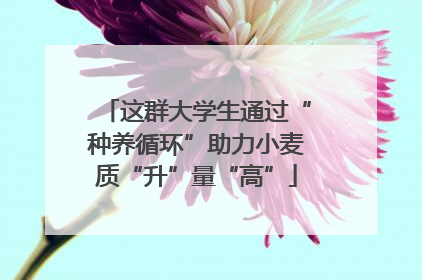这群大学生通过“种养循环”助力小麦质“升”量“高”