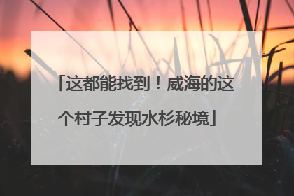 这都能找到！威海的这个村子发现水杉秘境