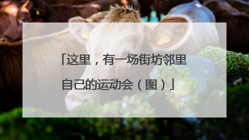 这里，有一场街坊邻里自己的运动会（图）