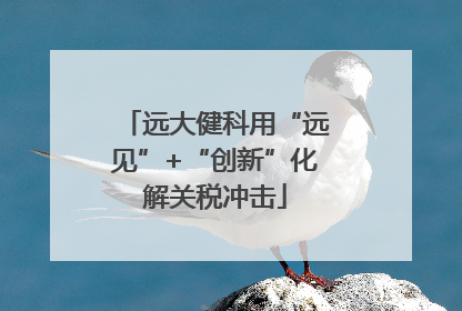 远大健科用“远见”+“创新”化解关税冲击