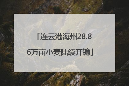 连云港海州28.86万亩小麦陆续开镰