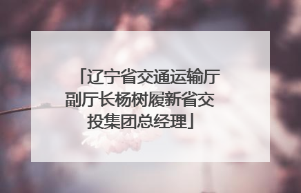 辽宁省交通运输厅副厅长杨树履新省交投集团总经理