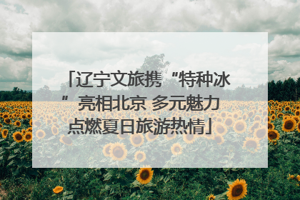 辽宁文旅携“特种冰”亮相北京 多元魅力点燃夏日旅游热情