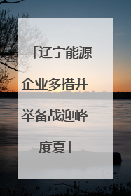 辽宁能源企业多措并举备战迎峰度夏