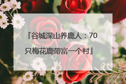 谷城深山养鹿人：70只梅花鹿带富一个村