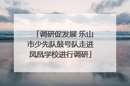 调研促发展 乐山市少先队鼓号队走进凤凰学校进行调研